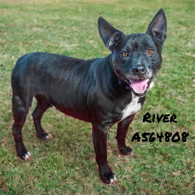 River