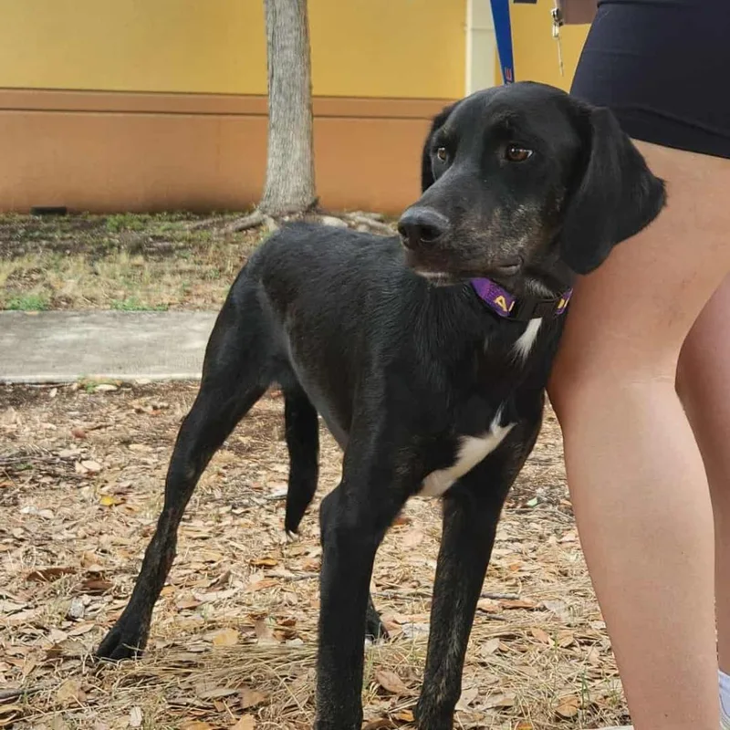 Karl Jum thumbnail 2