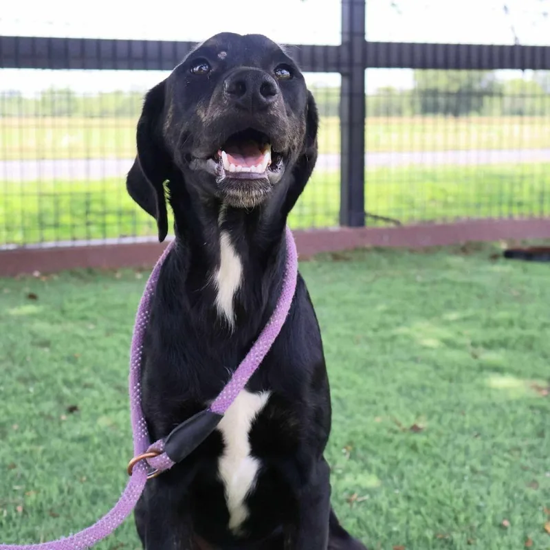 Karl Jum thumbnail 3