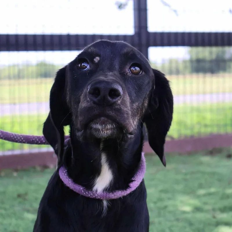 Karl Jum thumbnail 4