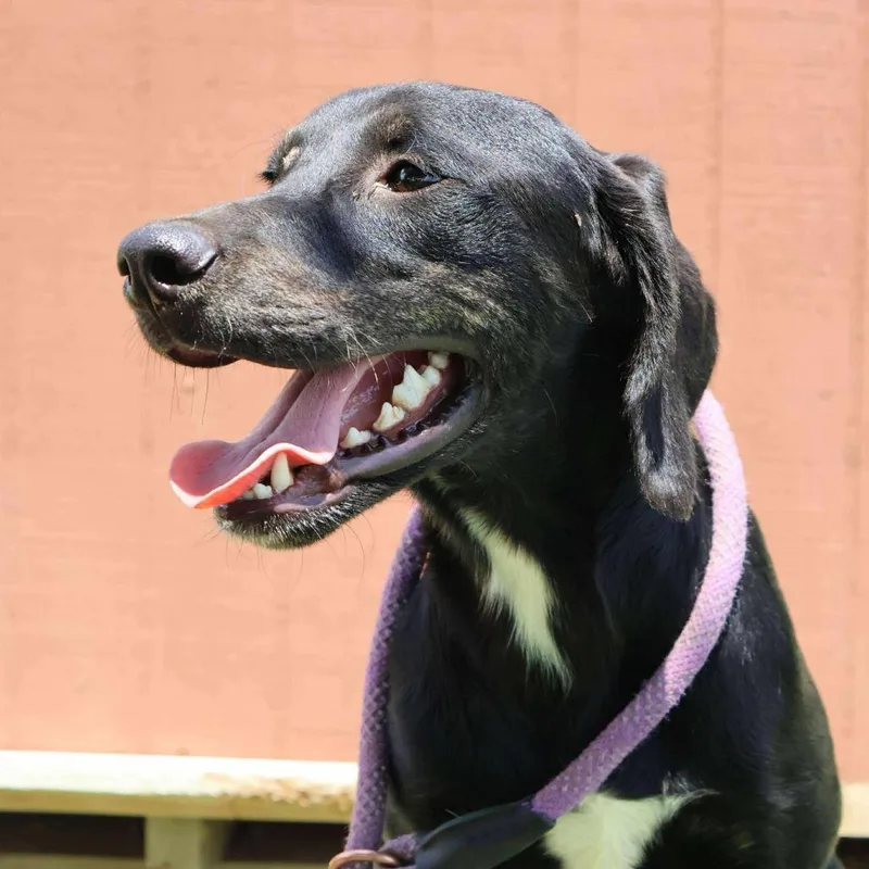 Karl Jum thumbnail 6