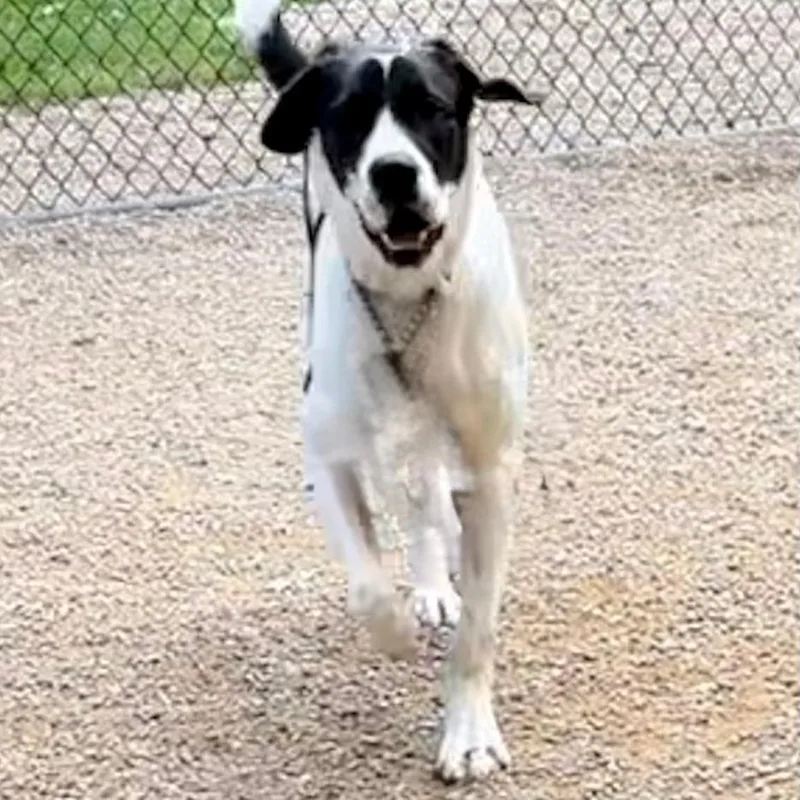 Ruthie thumbnail 5