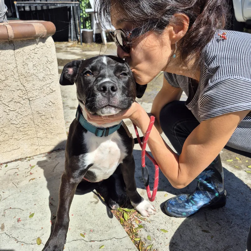 My Name Is Luca!! thumbnail 2