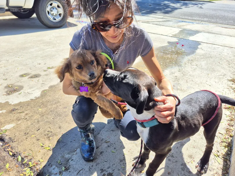 My Name Is Luca!! thumbnail 3