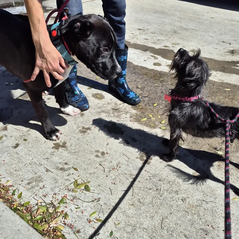 My Name Is Luca!! thumbnail 4