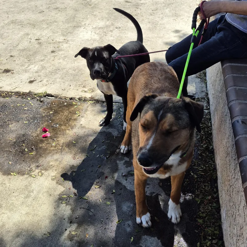 My Name Is Luca!! thumbnail 5