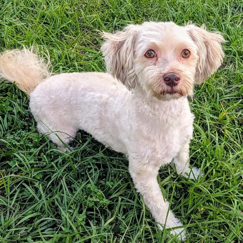 Caroline thumbnail 2