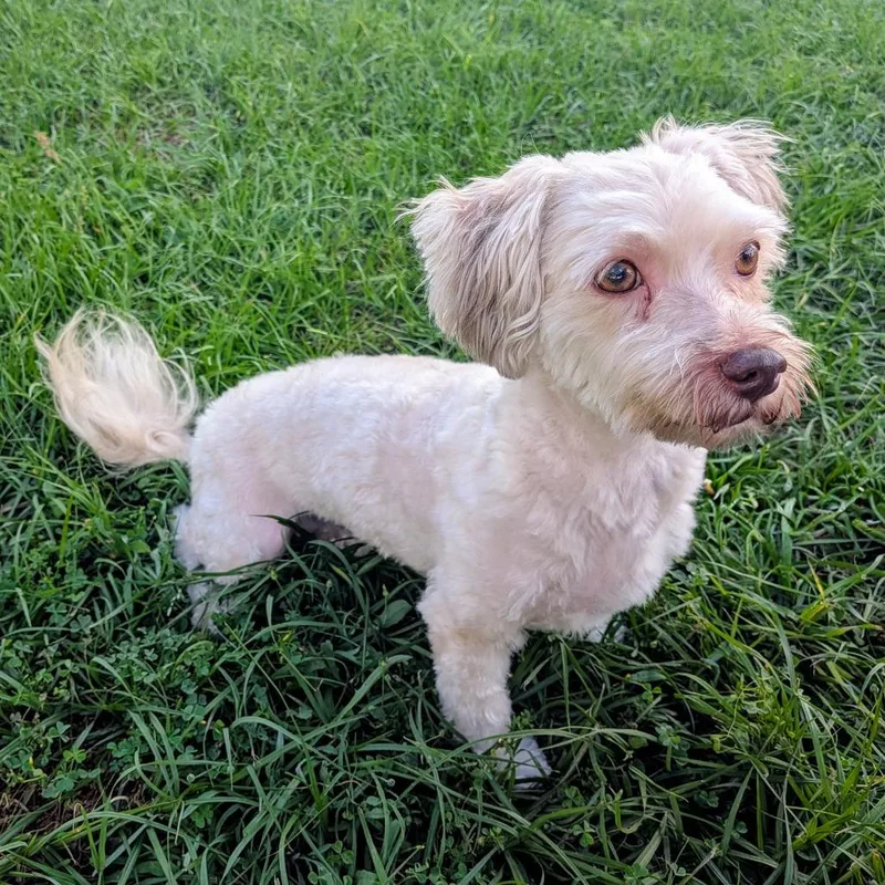 Caroline thumbnail 3