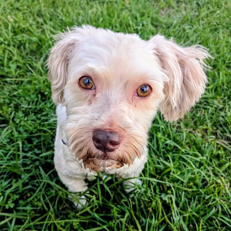 Caroline thumbnail 4