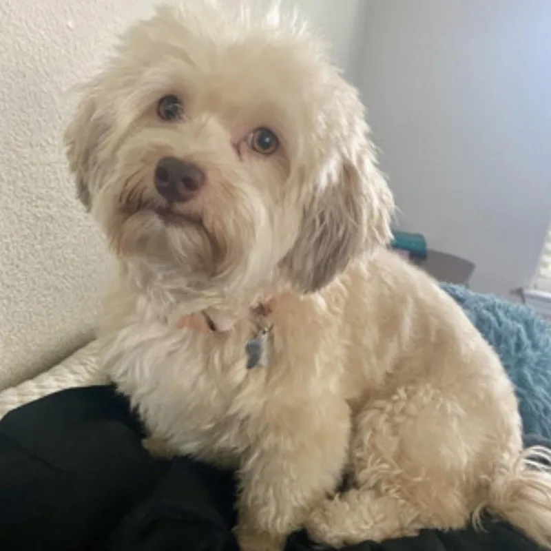 Caroline thumbnail 5