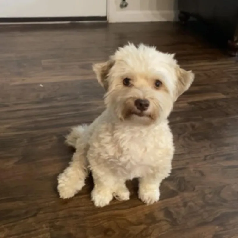 Caroline thumbnail 6