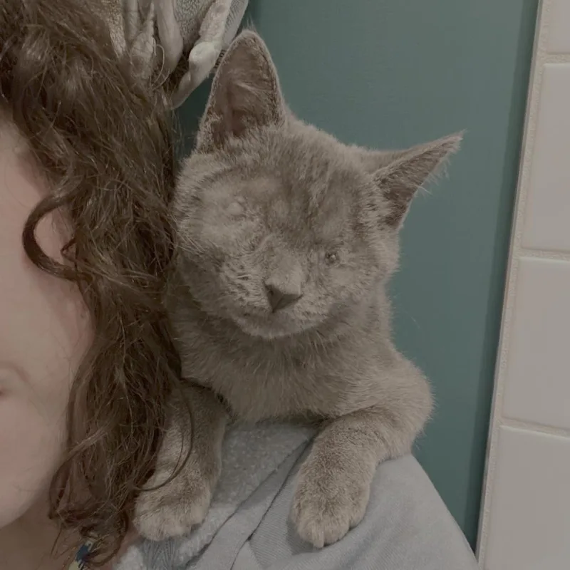 Helena thumbnail 2
