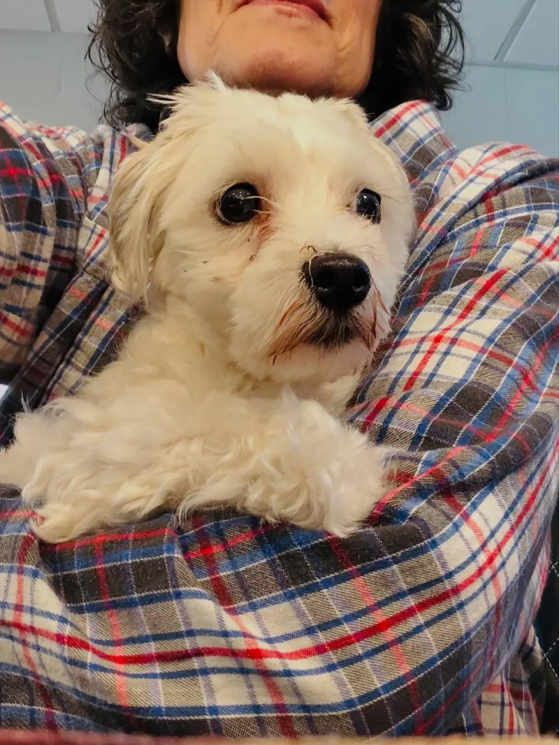 Coco thumbnail 2
