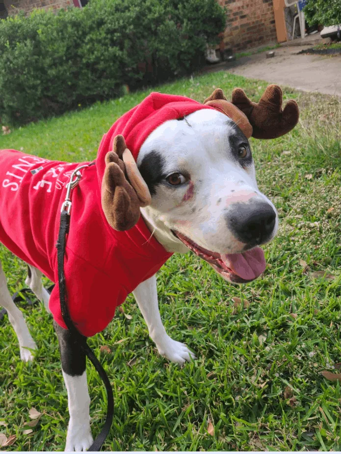 Marshall thumbnail 2