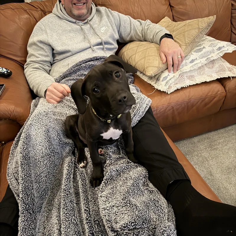 Hummingbird thumbnail 3