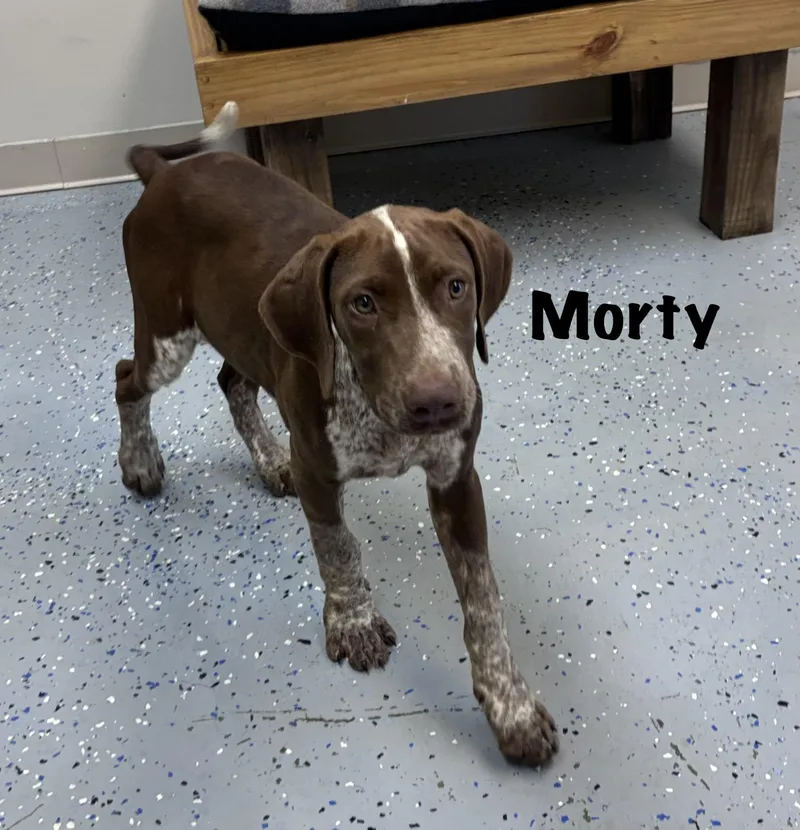 Morty thumbnail 2