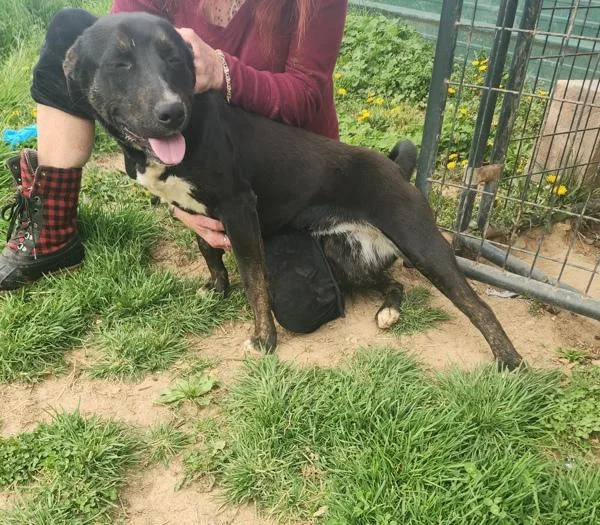 Precious thumbnail 2