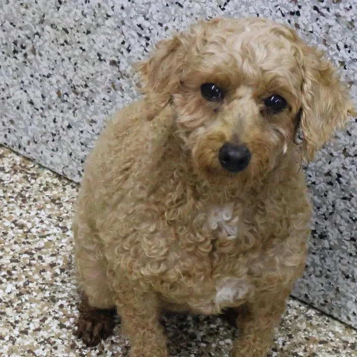 Banter's Rally thumbnail 2