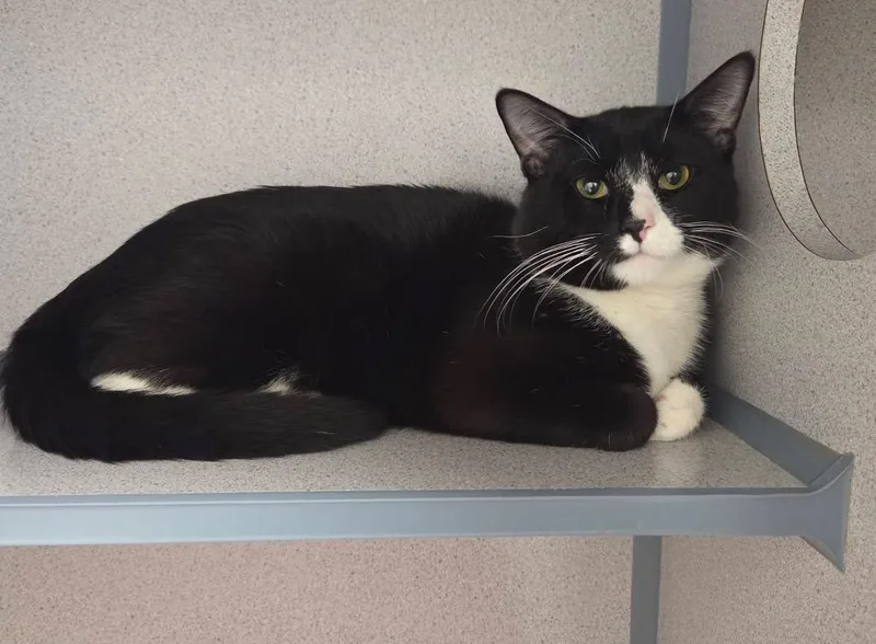 Ping Pong thumbnail 2