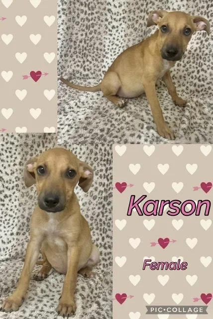 Karson