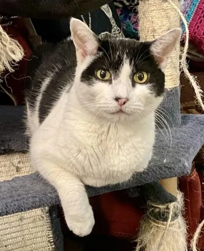 Louise   `a thumbnail 3