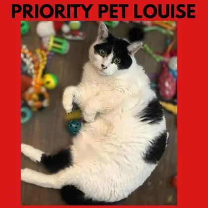 Louise   `a thumbnail 5