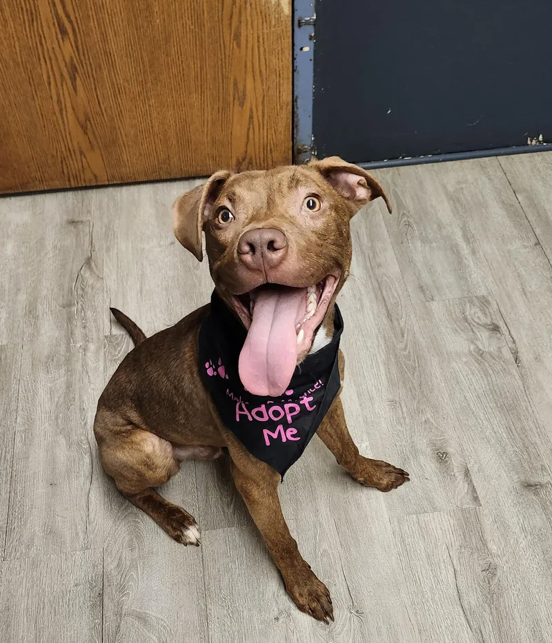 Reno  Prison Program thumbnail 3