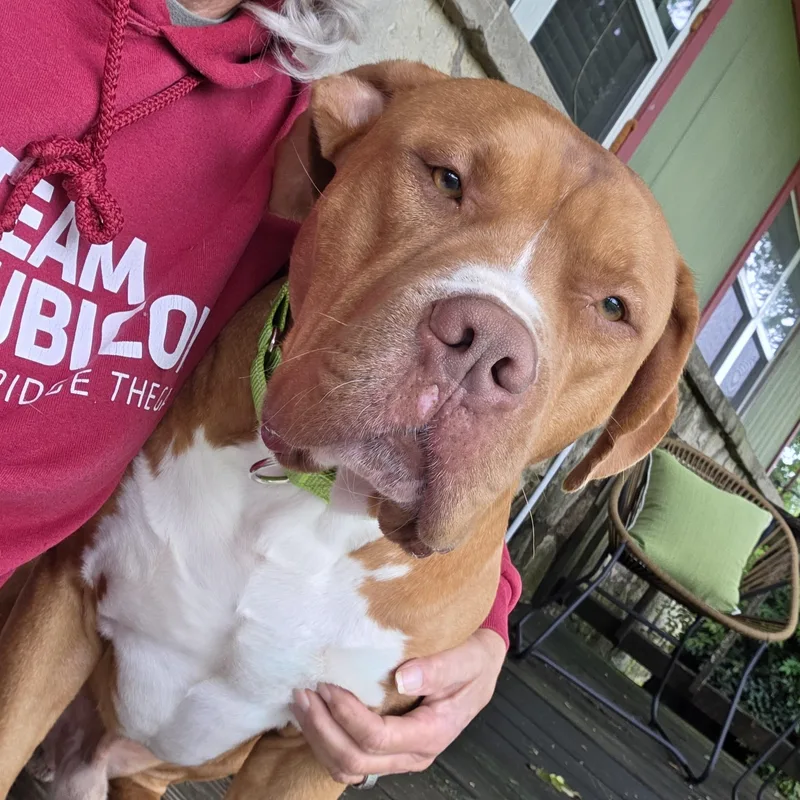 Rowan  Handsome And thumbnail 3