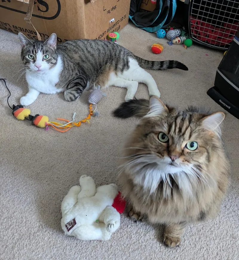 Theo And Jasmine thumbnail 2