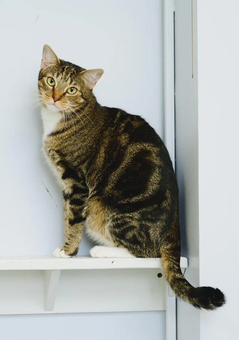 Claudette thumbnail 2