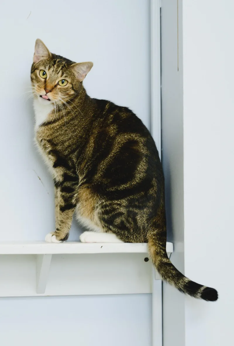 Claudette thumbnail 3