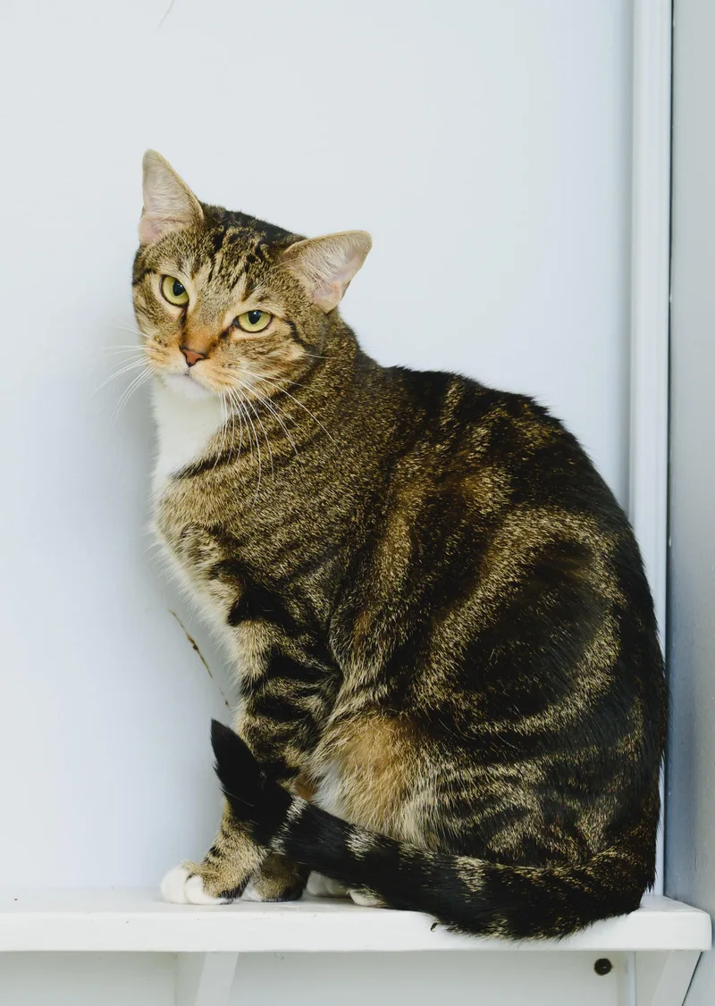 Claudette thumbnail 4