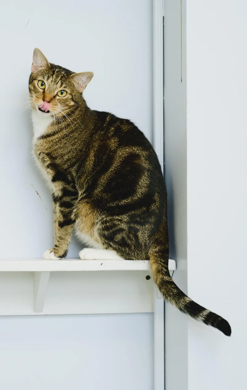 Claudette thumbnail 5