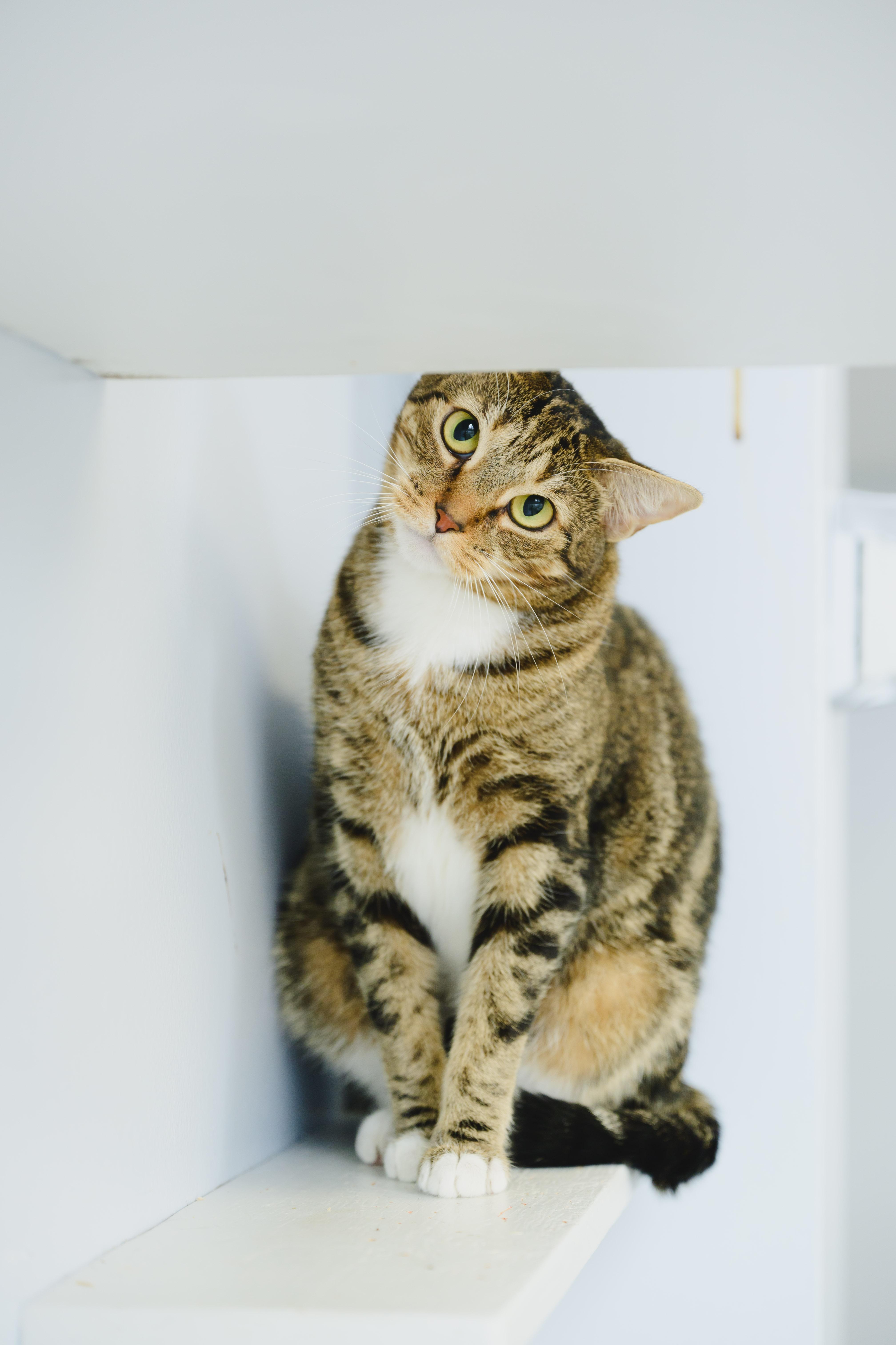 Claudette thumbnail 6