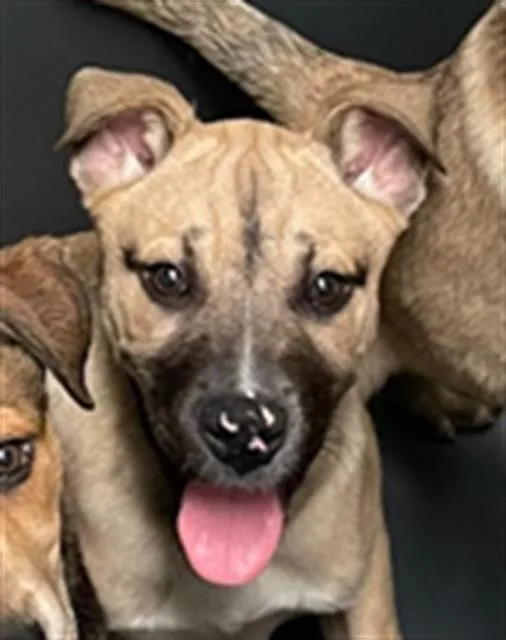 Maize Longtime Resident!