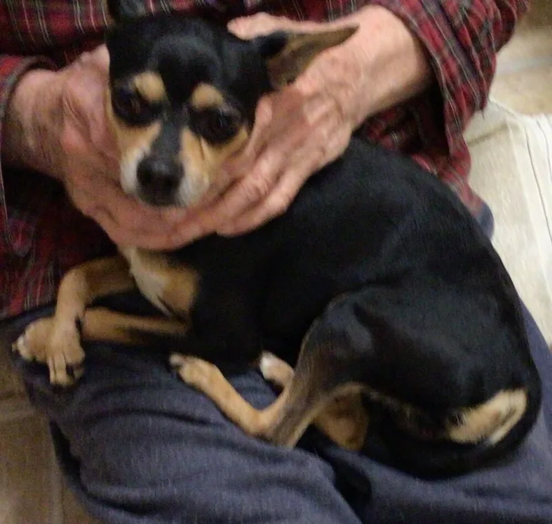 Blackie