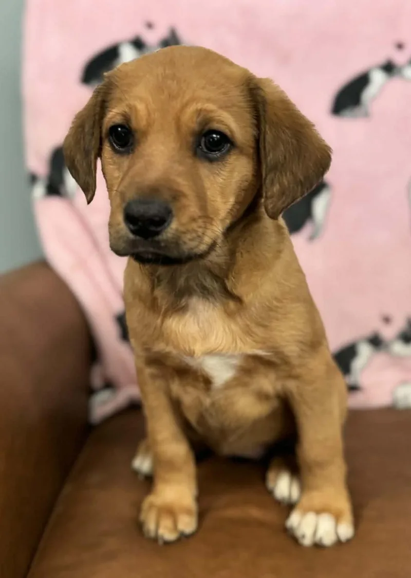 Catalina Kazoo thumbnail 4