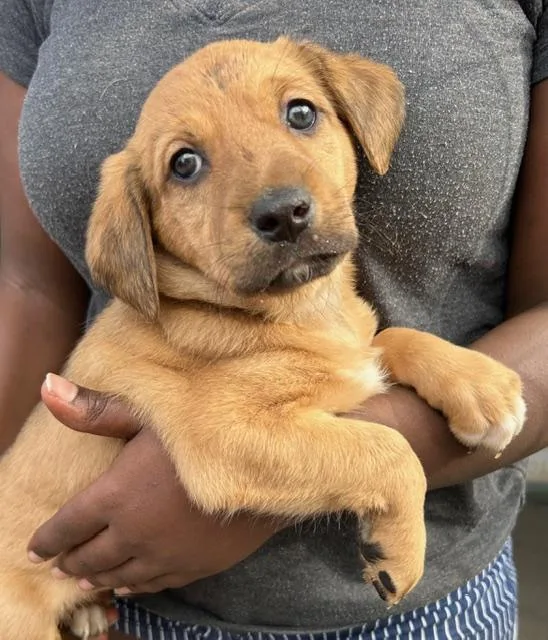 Catalina Kazoo thumbnail 5