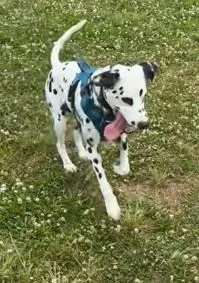 Thaddeusqueens  Ny thumbnail 3