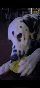 Thaddeusqueens  Ny thumbnail 5