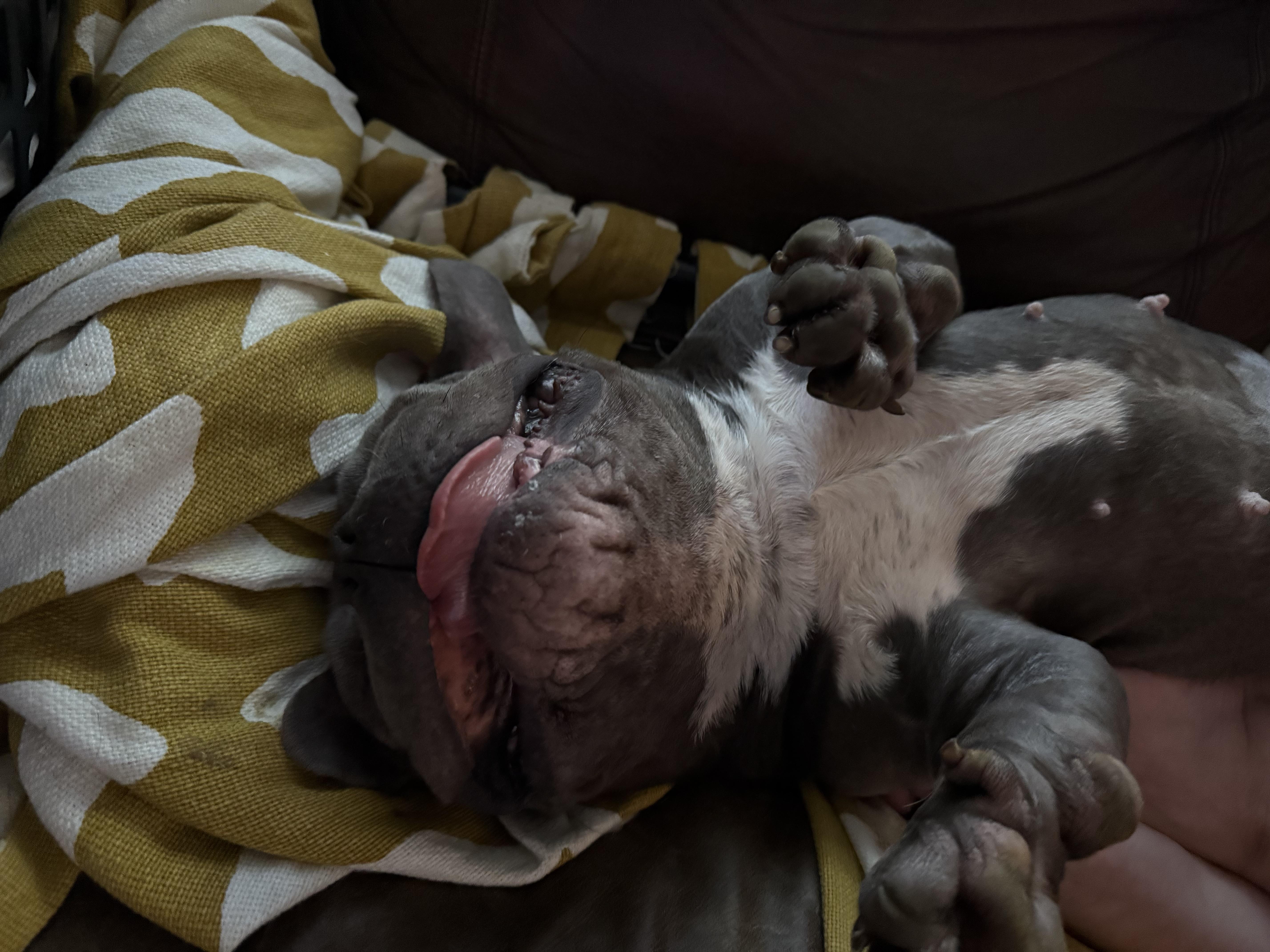 Eleanor "nell" thumbnail 2