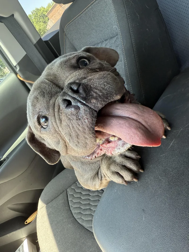 Eleanor "nell" thumbnail 3