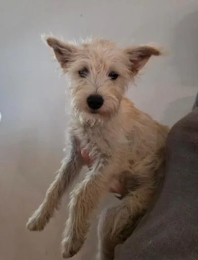 Charlie