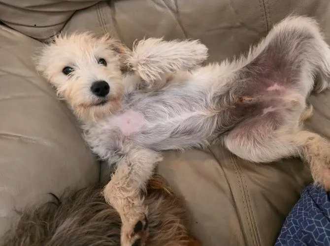 Charlie thumbnail 2