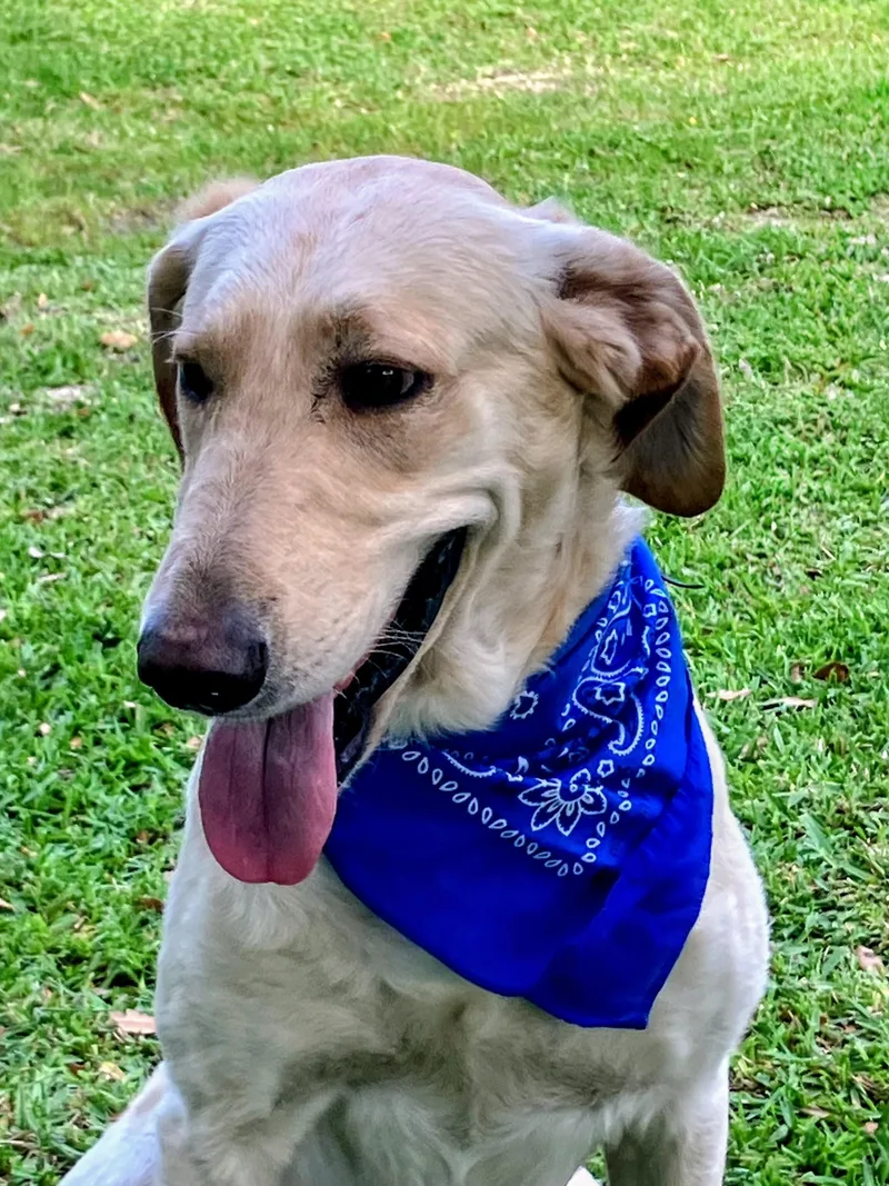 Robert Redford thumbnail 2