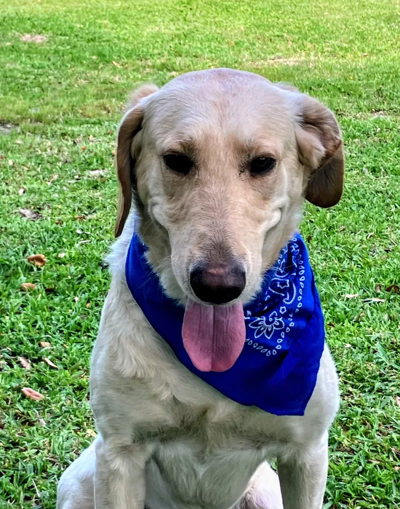 Robert Redford thumbnail 3