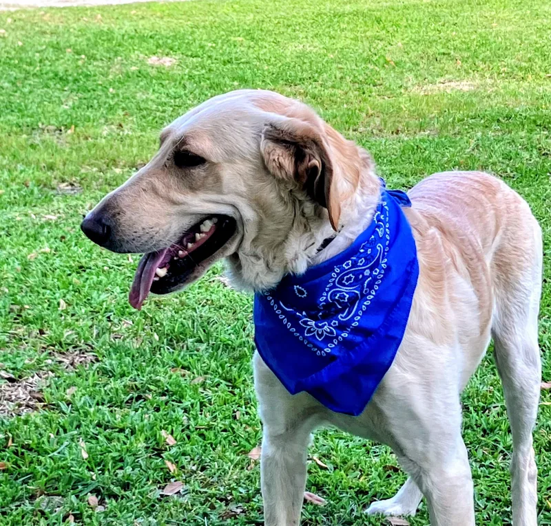 Robert Redford thumbnail 4