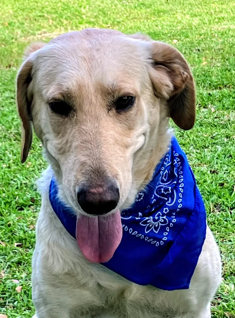 Robert Redford thumbnail 5