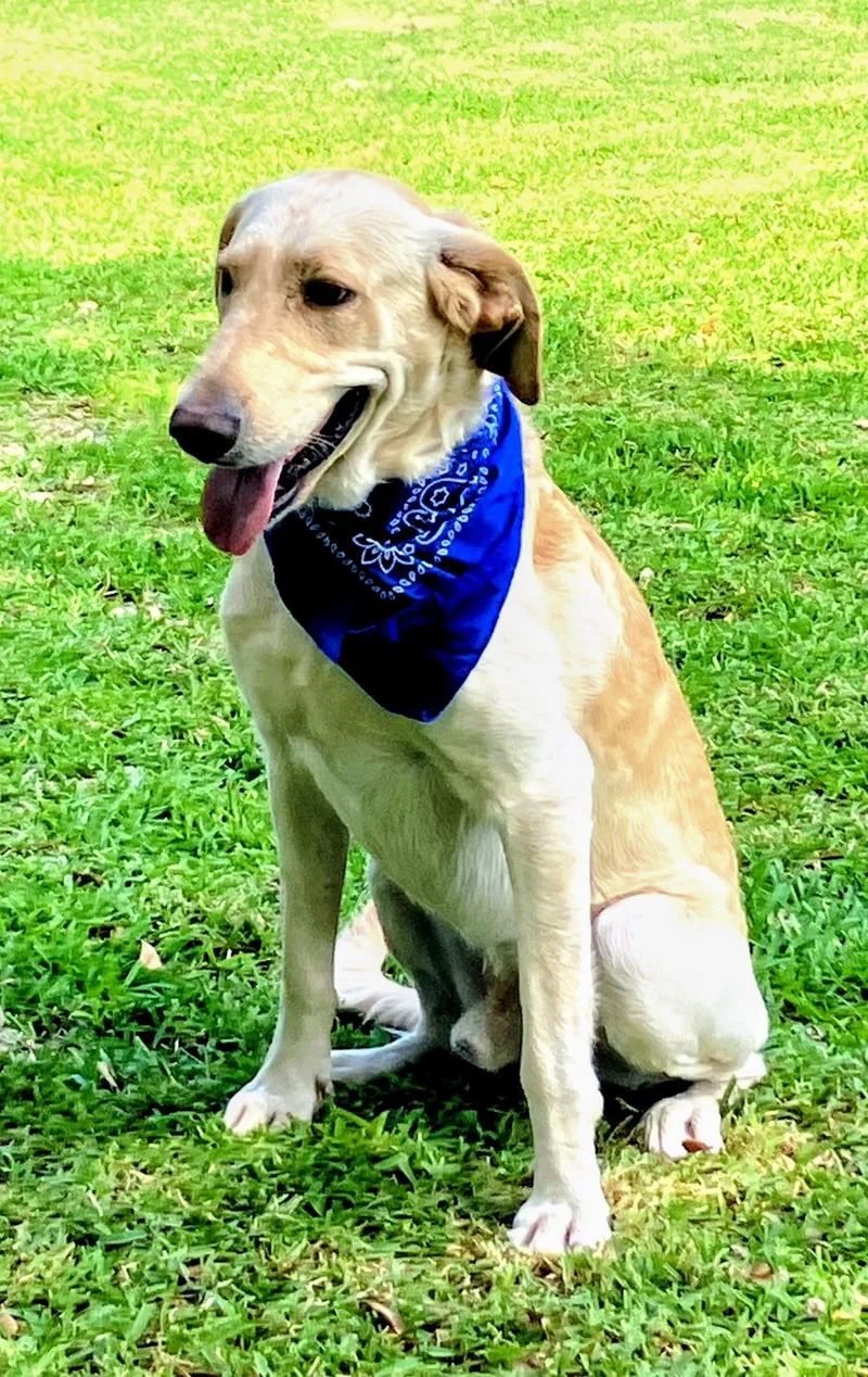 Robert Redford thumbnail 6