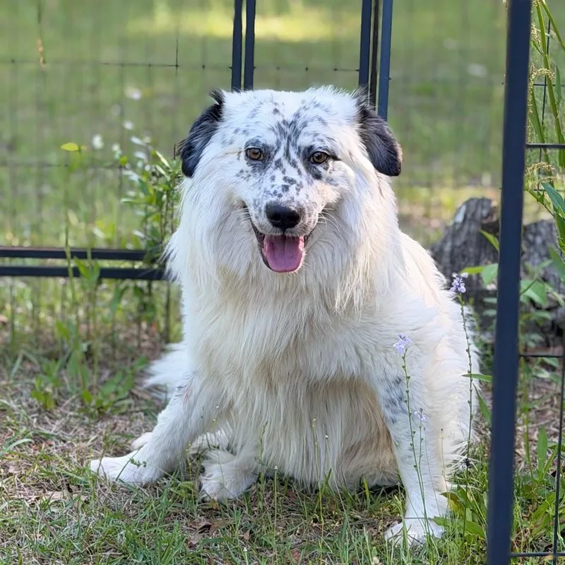 Stewart thumbnail 2